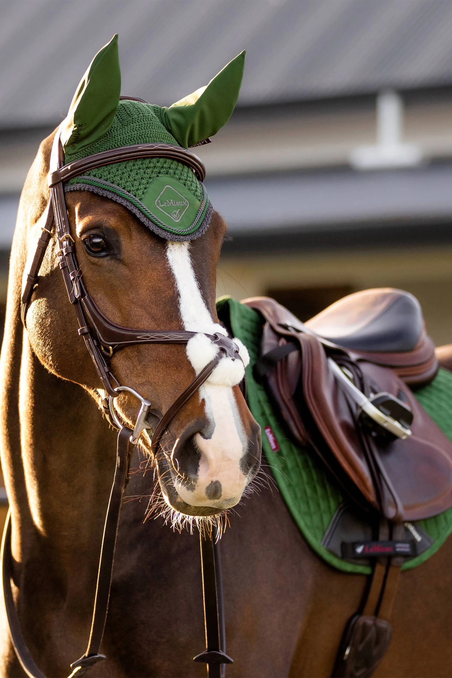 LeMieux Classic Fly Hood 9 LeMieux Classic Fly Hood - Image 8